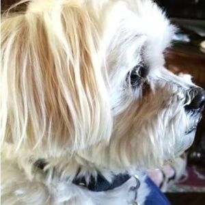 Meet your Posher, Mary lou